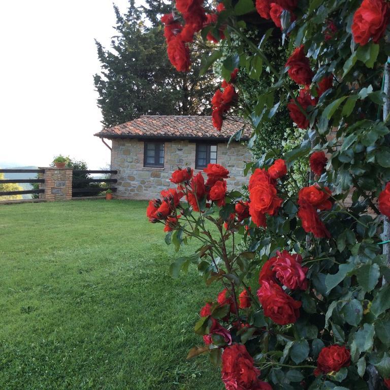 Agriturismo La Bicocca - Apt. "Il Leccio" Castel Rigone Habitación foto